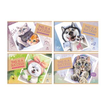 Альбом для рисования 40л., А4, на гребне BG 